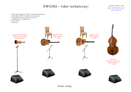SWGSQ - rider techniczny.ai