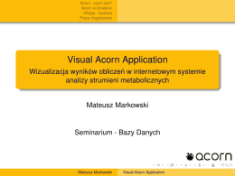 Visual Acorn Application - Wizualizacja wyników obliczen w