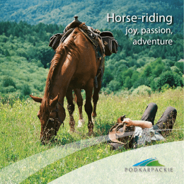 Horse-riding - joy, passion, adventure