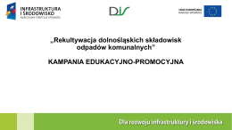 Prezentacja DIS vivIDEA Kampania edukacyjno