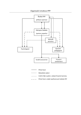 Organizační struktura PPP