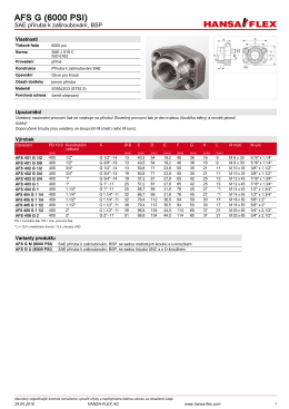 AFS G (6000 PSI) - hansa-flex