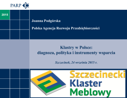 Klastry w Polsce: diagnoza, polityka i instrumenty wsparcia