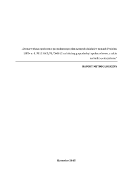 Raport metodologiczny - PDF