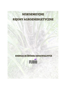 Niskoemisyjne Rejony Agroenergetyczne FLUID S.A.