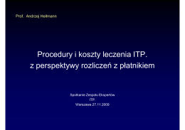 Prof. Hellmann_Prezentacja_ITP_prof