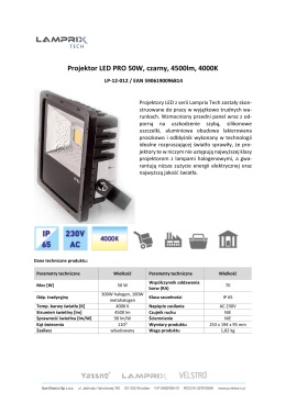 Projektor LED PRO 50W, czarny, 4500lm, 4000K