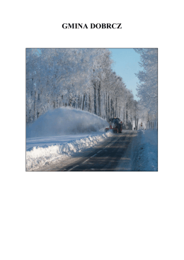 Zimowego utrzymania dróg
