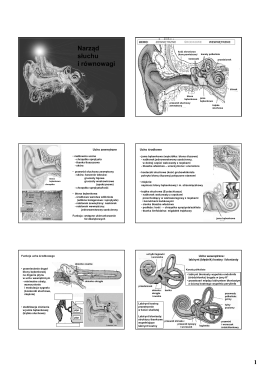 Narząd słuchu i równowagi