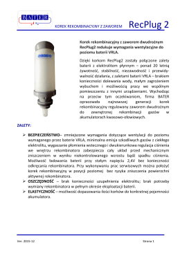 BATER Korek rekombinacyjny Plug Type2 2015-12