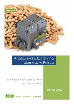 Analiza rynku kotłów na biomasę w Polsce