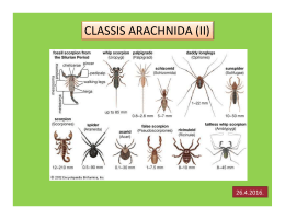 CLASSIS ARACHNIDA (II)