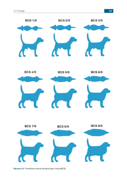3.4 Energia Rycina 3.4 Punktowa ocena kondycji psa i kota (BCS).