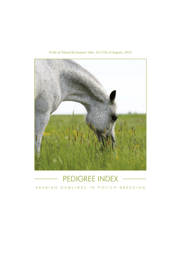 PEDIGREE INDEX - arabian horse days