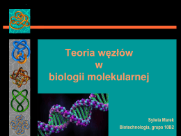Sylwia Marek, zastosowanie teorii węzłów w biologii molekularnej