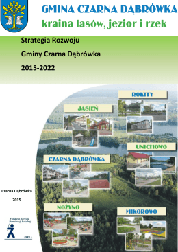 Strategia Rozwoju Gminy Czarna Dąbrówka na lata 2015