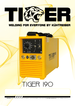 TIGER 190 - tiger