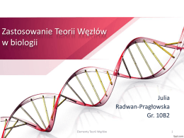 Julia Radwan-Pragłowska, zastosowanie teorii węzłów w biologii