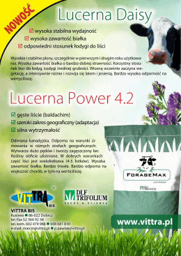 Lucerna Daisy Lucerna Power 4.2