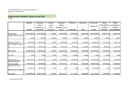 pdf Rozúčtování Kolektivní správy za rok 201588.33 KB