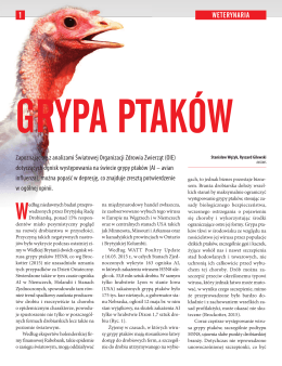 Grypa ptaków (Indyk Polski nr 2/2015)
