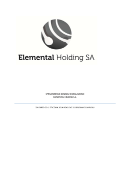 Sprawozdanie Zarządu Elemental Holding S.A. z działalności spółki