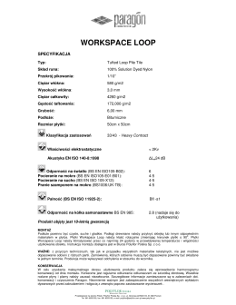 Specyfikacja Workspace Loop