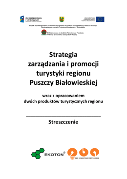 Strategia - Biuletyn Informacji Publicznej, Starostwo Powiatowe