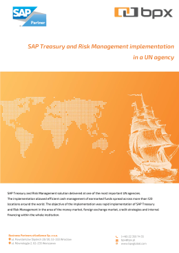 SAP Treasury and Risk Management implementation in a UN agency