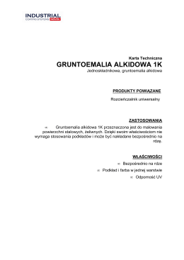 GRUNTOEMALIA ALKIDOWA 1K - Industrial