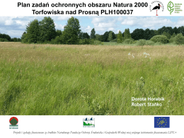 Plan zadań ochronnych Natura 2000 Torfowiska nad Prosną