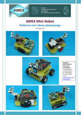 AMEX Mini Robot