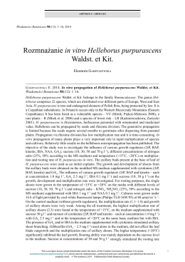 Rozmnażanie in vitro Helleborus purpurascens Waldst. et Kit.