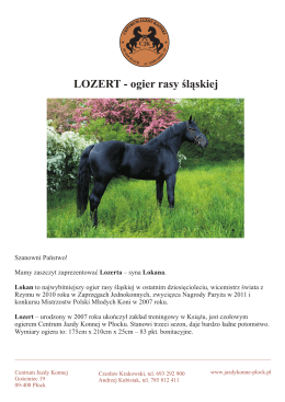 LOZERT - ogier rasy œl¹skiej - Centrum Jazdy Konnej w Płocku