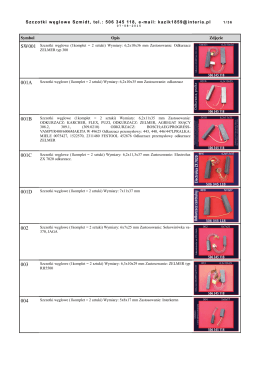 Katalog pdf do pobrania - 009A Szczotki weglowe
