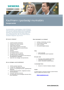 Kaufmann / gazdasági munkatárs
