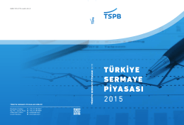 türkiye sermaye piyasası 2015