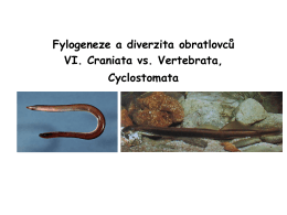 Cyclostomata