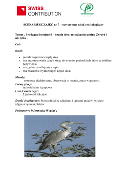 Czapla siwa - Turystyczny Szlak Ornitologiczny