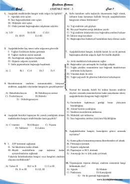 sindirim sistemi 11_sınıf test-7 çözümlü-3