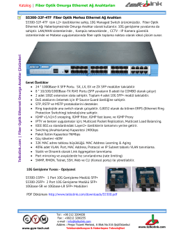 Telkolink | S5300-32F-4TF Fiber Optik L2+ Merkez Ethernet Ağ