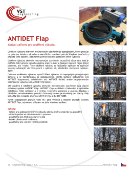 ANTIDET Flap - VST engineering