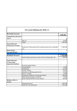 Pénzügyi terv 2016. év