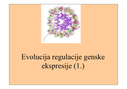 Evolucija regulacije genske ekspresije (cis/trans regulacija i