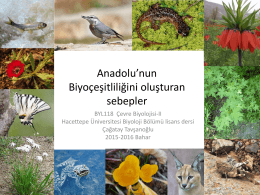 Tür çeşitliliği - Hacettepe Üniversitesi