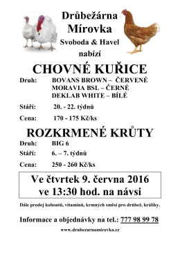 Prodej kuřic - Opolánky náves 9. června 2016