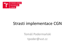 Strasti implementace CGN