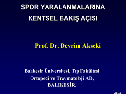 Prof. Dr. Devrim AKSEKİ