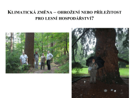 Přírodě blízké hospodaření v lese – jeho místo v lesnické vědě a