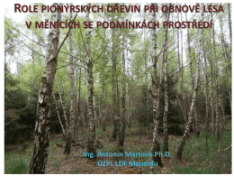 Role pionýrských dřevin při obnově lesa v měnících se podmínkách